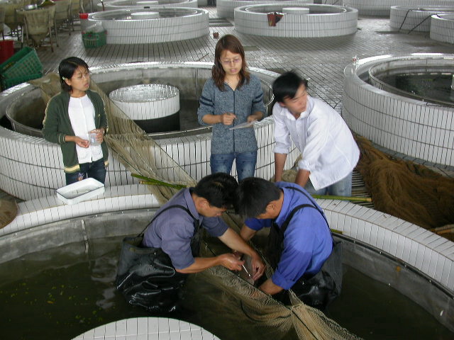 实验室的鱼种繁育基地